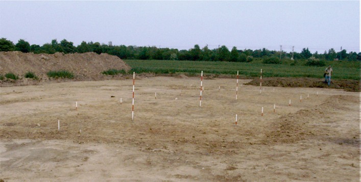 Udgravningsfelt